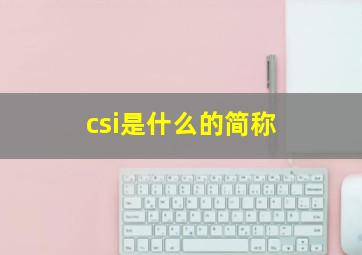 csi是什么的简称