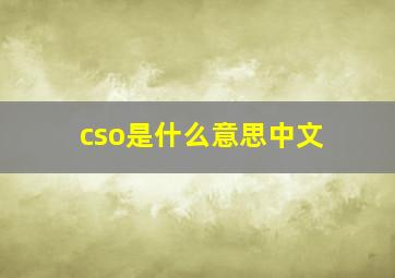 cso是什么意思中文