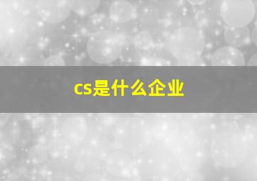 cs是什么企业