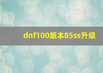 dnf100版本85ss升级