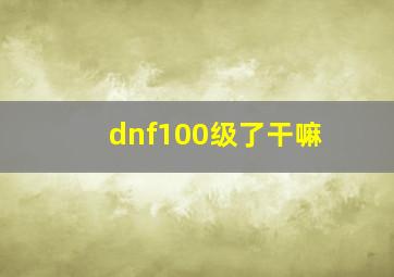 dnf100级了干嘛