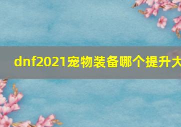 dnf2021宠物装备哪个提升大