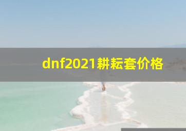 dnf2021耕耘套价格