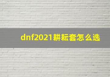 dnf2021耕耘套怎么选