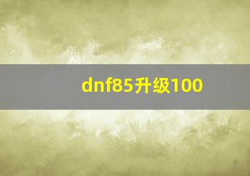 dnf85升级100