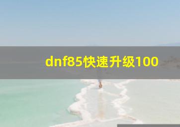 dnf85快速升级100