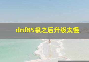 dnf85级之后升级太慢