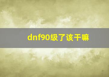 dnf90级了该干嘛