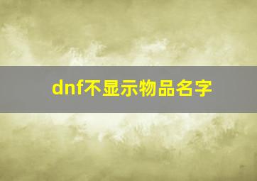 dnf不显示物品名字