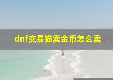 dnf交易猫卖金币怎么卖