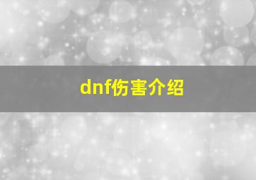 dnf伤害介绍