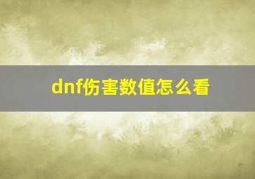 dnf伤害数值怎么看