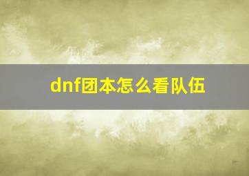 dnf团本怎么看队伍