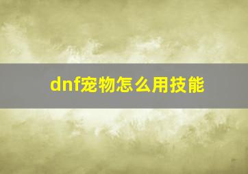 dnf宠物怎么用技能