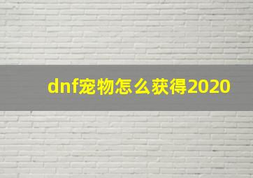 dnf宠物怎么获得2020