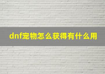 dnf宠物怎么获得有什么用