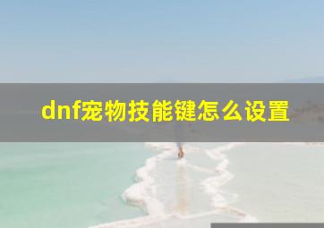 dnf宠物技能键怎么设置