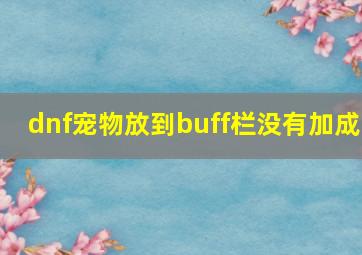 dnf宠物放到buff栏没有加成