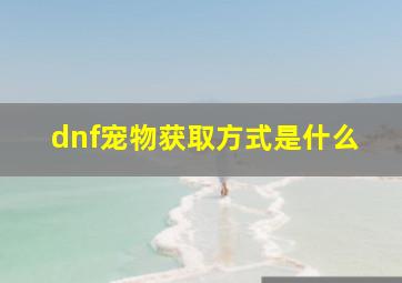 dnf宠物获取方式是什么