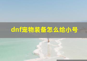 dnf宠物装备怎么给小号