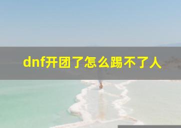 dnf开团了怎么踢不了人