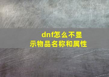 dnf怎么不显示物品名称和属性