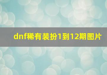 dnf稀有装扮1到12期图片