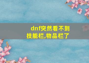 dnf突然看不到技能栏,物品栏了