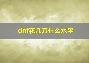 dnf花几万什么水平