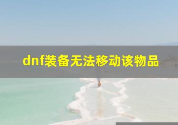 dnf装备无法移动该物品