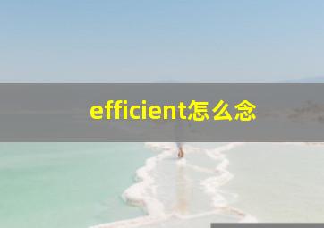 efficient怎么念