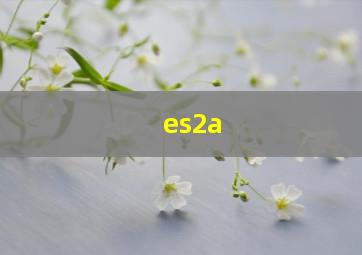 es2a