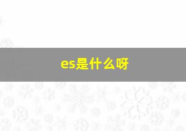 es是什么呀