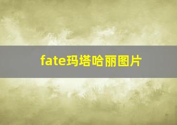 fate玛塔哈丽图片