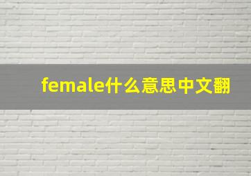 female什么意思中文翻