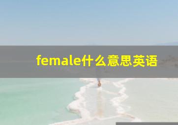 female什么意思英语