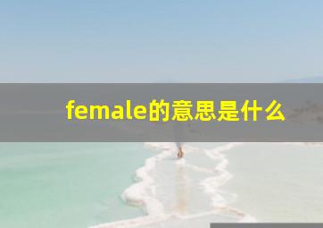 female的意思是什么