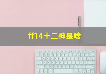 ff14十二神是啥