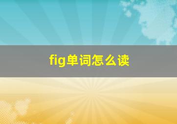 fig单词怎么读