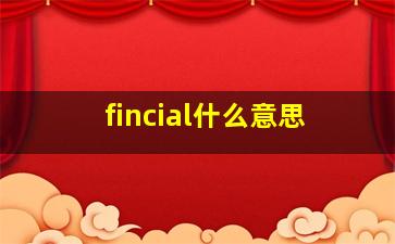 fincial什么意思