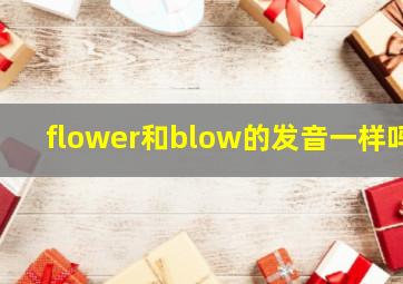 flower和blow的发音一样吗