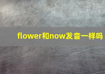 flower和now发音一样吗