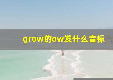 grow的ow发什么音标