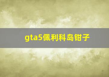 gta5佩利科岛钳子