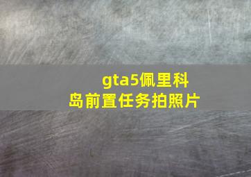 gta5佩里科岛前置任务拍照片