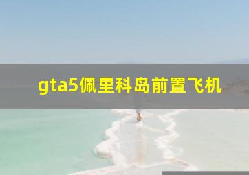 gta5佩里科岛前置飞机