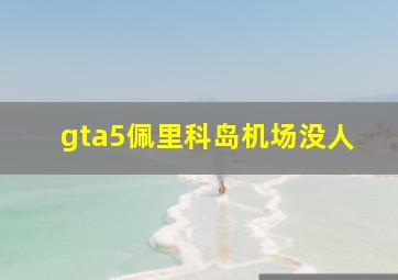 gta5佩里科岛机场没人