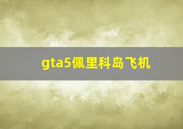 gta5佩里科岛飞机