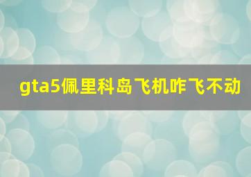 gta5佩里科岛飞机咋飞不动