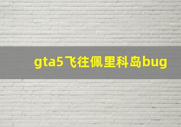 gta5飞往佩里科岛bug